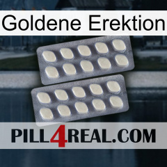 Golden Erection 07